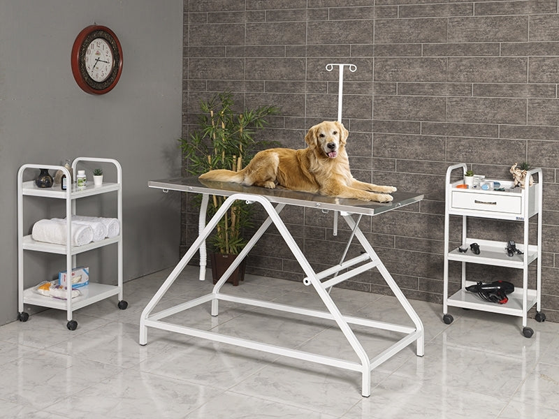 Paslanmaz Veteriner Masası, Paslanmaz Veteriner Ameliyart Masası, Tredelanburg Hareketli Veteriner Operasyon Masası