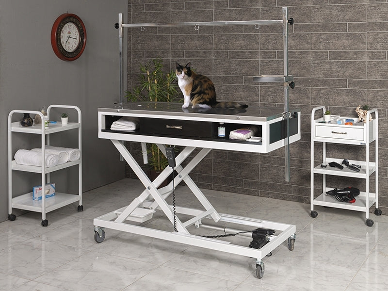 Elektrikli Veteriner Ameliyat ve Operasyon Masası, Pet Bakım Masası, Motorlu Veteriner Sedyesi