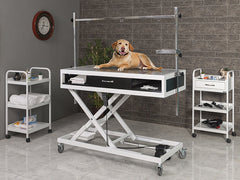 Yükseklik Ayarlı Veteriner Xray Masası, Motorlu Veteriner Masası, Çekmeceli Veteriner Sedyesi, Ucuz Veteriner Masası