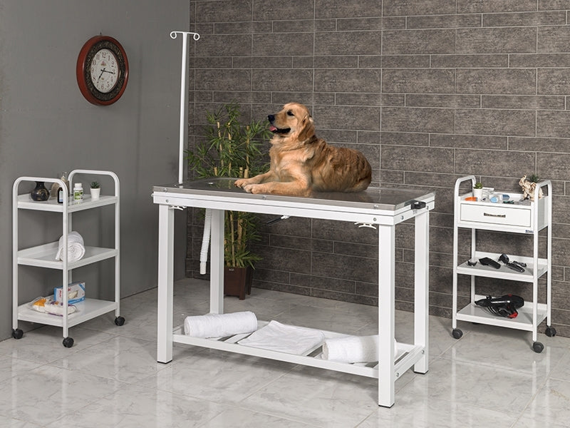 Veteriner Ameliyat Masası, Ucuz Veteriner Masası, Serum Askılıklı Veteriner Masası, Tredelanburg Hareketli Veteriner Masası