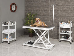 Serum Askılıklı Veteriner Masası, Veteriner Malzemleri, Motorlu Veteriner Masası