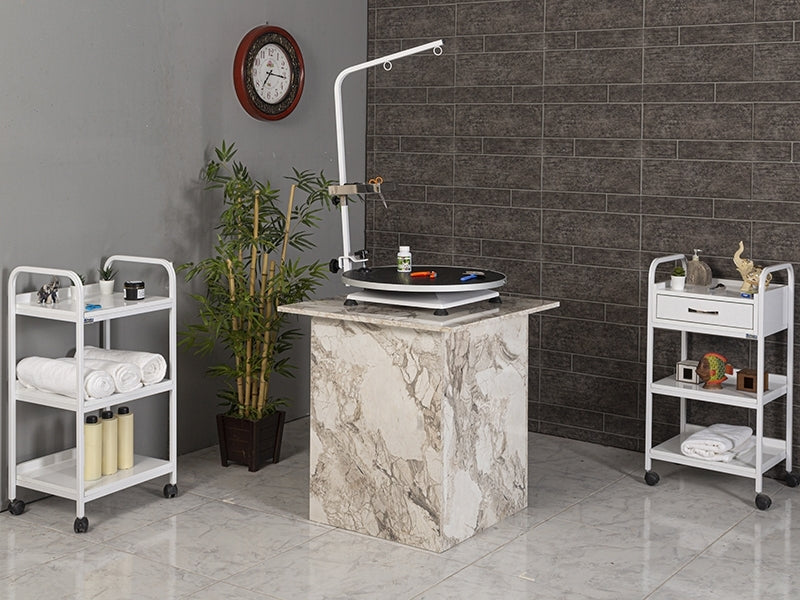 Veteriner Pet Bakım ve Muayene Masası, Taşınabilir Pet Bakım Masası, Hayvan Muayene Masası