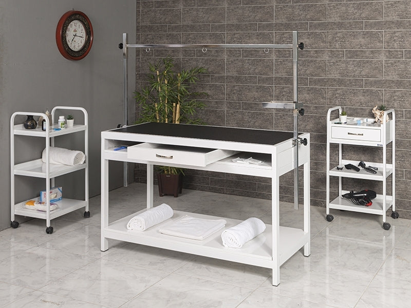 Veteriner Pet Bakım ve Muayene Masası, Veteriner Muayene Masası, Sabit Ayak Veteriner Masası