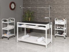 Veteriner Pet Bakım ve Muayene Masası, Veteriner Muayene Masası, Sabit Ayak Veteriner Masası