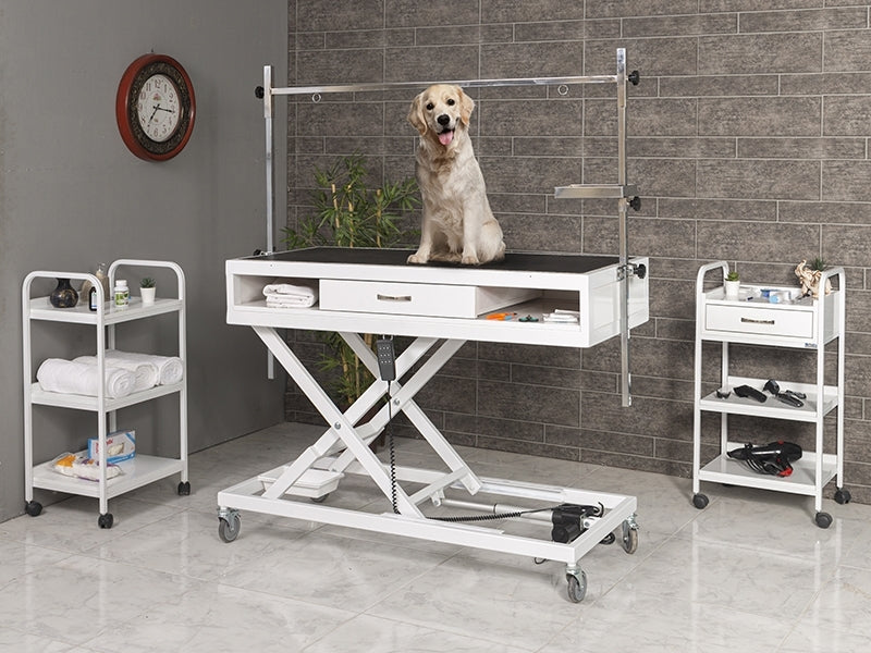 Pet Bakım ve Muayene Masası, Motorlu Pet Bakım Masası, Çekmeceli Pet Kuaför Masası