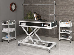 Elektrikli Veteriner Ameliyat ve Operasyon Masası, Pet Bakım Masası, Motorlu Veteriner  Sedyesi