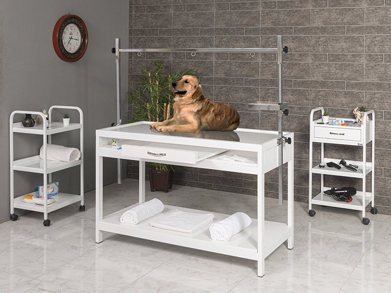 Sabit Veteriner X-ray Masası, Tasma Asma Aparatlı Veteriner Masası, Ucuz Pet Rontgen Masası