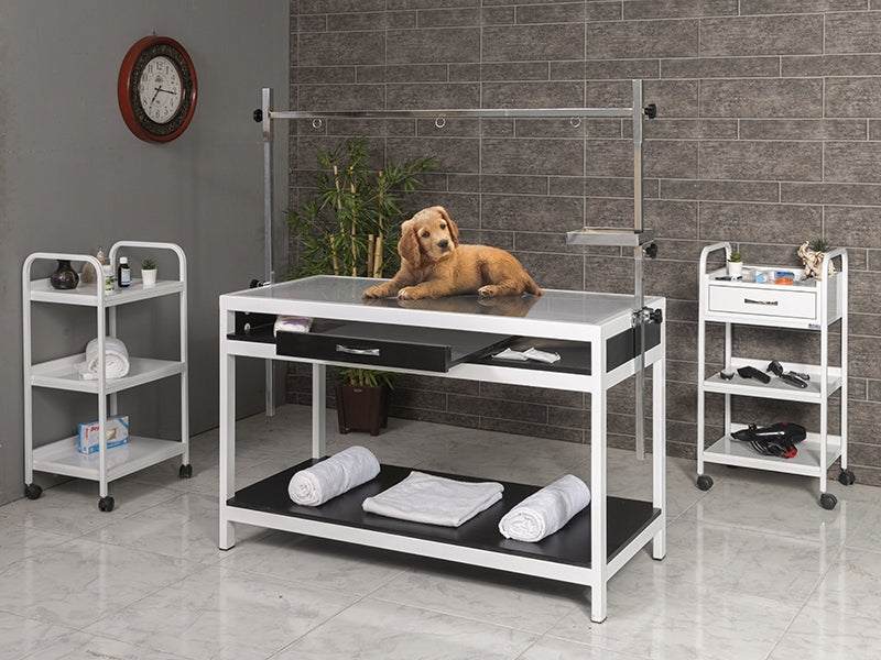 Sabit Veteriner X-ray Masası, Tasma Asma Aparatlı Veteriner Masası, Ucuz Pet Rontgen Masası