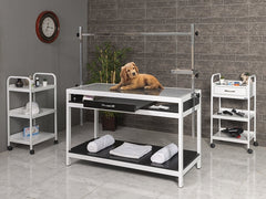 Sabit Veteriner X-ray Masası, Tasma Asma Aparatlı Veteriner Masası, Ucuz Pet Rontgen Masası