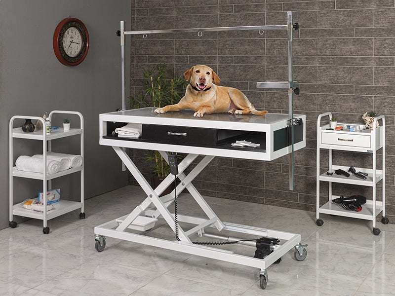 Yükseklik Ayarlı Veteriner Xray Masası, Motorlu Veteriner Masası, Çekmeceli Veteriner Sedyesi, Ucuz Veteriner Masası