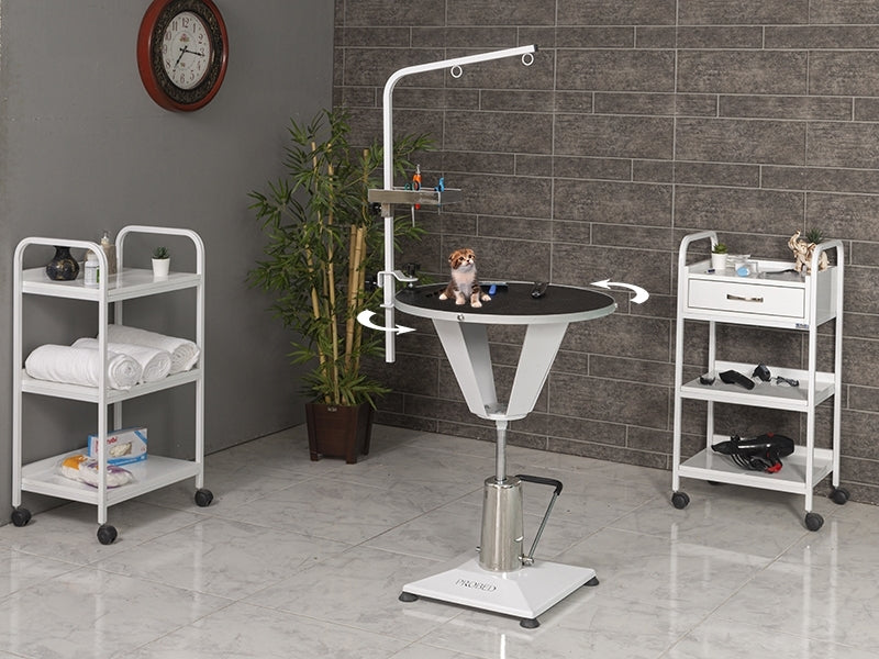 Veteriner Pet Bakım ve Muayene Masası