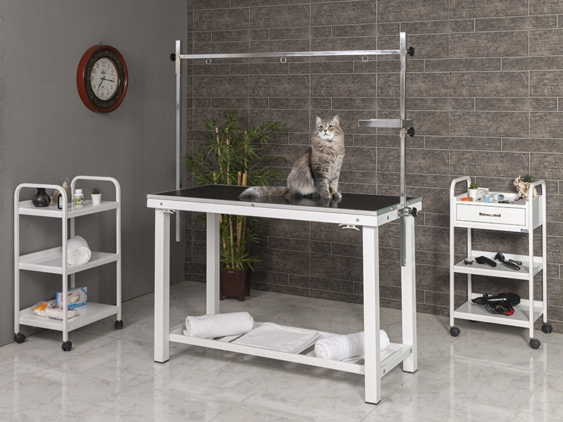 Veteriner Pet Bakım Ve Muayene Masası, Evcil Hayvan Traş Masası, Pet Kuaför Masası