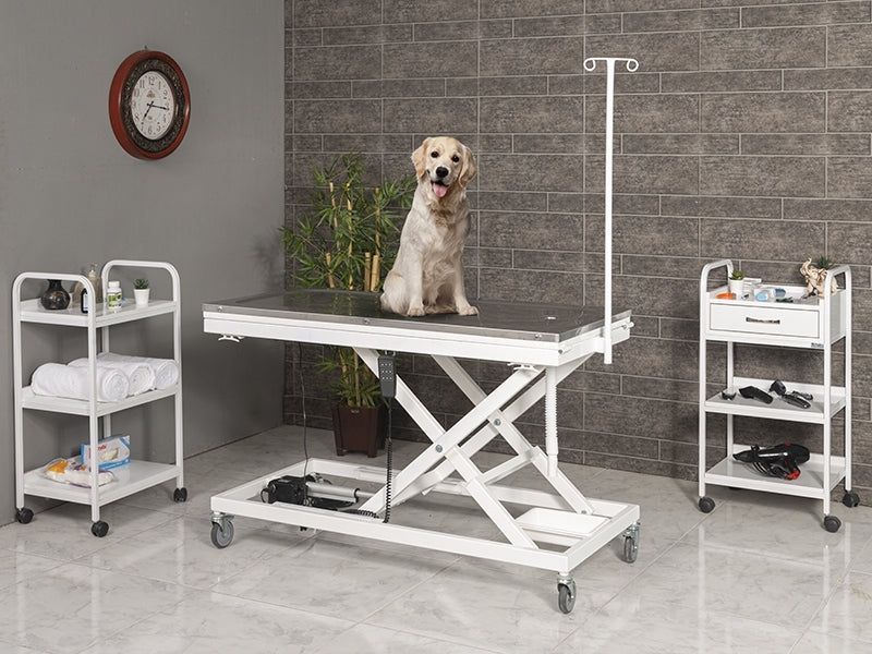 Veteriner Ameliyat  Operasyon Masası, Veteriner Masaları, Ucuz Veteriner Masası, Çift Motorlu Ameliyat Sedyesi